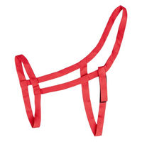 Produktbild von Waldhausen Weidehalfter für Shetlandponys aus Nylon in Rot