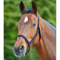 Produktbild von Waldhausen Weidehalfter für Warmblut aus Nylon ohne Metallschnallen Blau