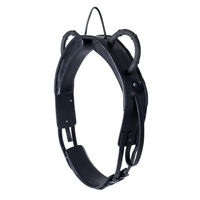 Produktbild von Waldhausen Wembley Voltigiergurt aus Leder in Schwarz für Warmblut