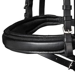 Waldhausen X-Line Beauty Trensenzaum aus Leder für Ponys in Schwarz – Bild 1 von 2