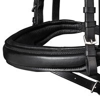Produktbild von Waldhausen X-Line Beauty Trensenzaum aus Leder für Ponys in Schwarz