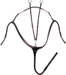 Waldhausen X-Line Leder-Vorderzeug mit langer Brücke für Warmblut in Braun – Bild 1 von 3