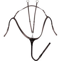 Produktbild von Waldhausen X-Line Leder-Vorderzeug mit langer Brücke für Warmblut in Braun