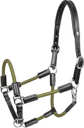 Waldhausen X-Line Nevada Lederhalfter für Pferde Schwarz/Grün – Bild 1 von 7