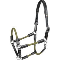 Produktbild von Waldhausen X-Line Nevada Lederhalfter für Pferde Schwarz/Grün