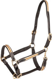 Waldhausen X-Line Oxford Lederhalfter für Pferde in Braun/Beige – Bild 1 von 5