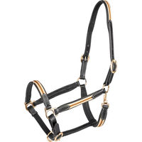Produktbild von Waldhausen X-Line Oxford Lederhalfter für Pferde Schwarz/Beige/Gold