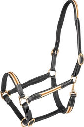 Waldhausen X-Line Oxford Lederhalfter für Pferde Warmblut Schwarz Beige Gold – Bild 1 von 5