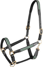 Waldhausen X-Line Oxford Lederhalfter für Pferde Warmblut Schwarz Grün – Bild 1 von 5