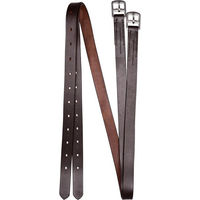 Produktbild von Waldhausen X-Line Steigbügelriemen aus Leder Braun 140 cm - 2 x 140 cm