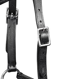 Waldhausen X-Line Trensenzaum Gebisslos Supersoft Nuova für Ponys in Schwarz – Bild 1 von 4
