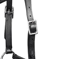 Produktbild von Waldhausen X-Line Trensenzaum Gebisslos Supersoft Nuova für Ponys in Schwarz
