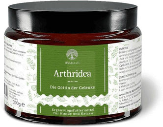 Waldkraft Arthridea Bio Gelenk-Supplement Pulver 300g – Bild 1 von 4