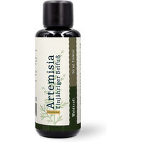 Produktbild von Waldkraft Bio Artemisia Einjähriger Beifuß auf Sauerhonig-Basis