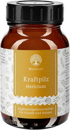 Produktbild von Waldkraft BIO Kraftpilz Hericium Pulver zur Immunstärkung 100g