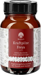 Produktbild von Waldkraft BIO Kraftpilze Freya Vitalpilz Synergetikum Pulver zur Immunstärkung 100g