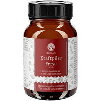 Produktbild von Waldkraft BIO Kraftpilze Freya Vitalpilz Synergetikum Pulver zur Immunstärkung 100g