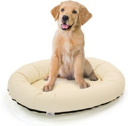 Wallace & Jones Bolton orthopädisches Hundebett aus Kunstleder für kleine Hunde Creme-weiß Größe S – Bild 1 von 2