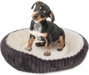 Wallace & Jones Hundebett Cameron S für kleine Hunde aus Cord in Grau-Beige – Bild 1 von 5