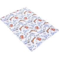 Produktbild von Warner Bros Harry Potter Hedwig Haustierdecke für Hund und Katze aus Polyester Grösse L 100 x 70 cm