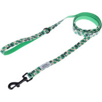 Produktbild von Warner Bros Harry Potter Hundeleine Slytherin aus Biothane wasserabweisend 200 cm lang und 20 mm breit
