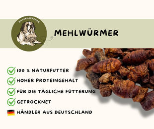 Warnick´s Tierfutterservice Getrocknete Mehlwürmer als Ergänzungsfutter für Fische, Vögel, Reptilien und Nager – Bild 1 von 4