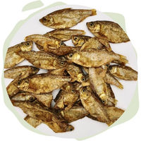 Produktbild von Warnick´s Tierfutterservice Getrockneter Fisch als Naturfutter und Leckerli für Hunde, Katzen und Reptilien wie Schildkröten ohne Farb- und Aromastoffe sowie ohne Konservierungsstoffe