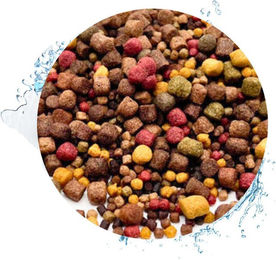 Warnick´s Tierfutterservice Koifutter 5-Sorten Mix mit Spirulina und Insekten für Zierfische und Teichfische 5kg – Bild 1 von 3