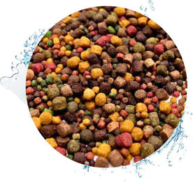 Warnick´s Tierfutterservice Koifutter 8-Sorten Mix mit Spirulina Wachstumsfutter für Koi und Zierfische 3-6mm – Bild 1 von 5