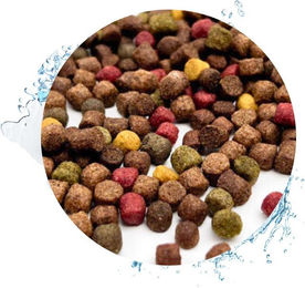 Warnick´s Tierfutterservice Koifutter Mehrkomponenten-Mix mit Spirulina und Insekten für Zierfische und Teichfische – Bild 1 von 1
