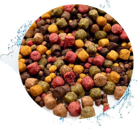 Warnick´s Tierfutterservice Koifutter Mehrkomponenten-Mix mit Spirulina und Paprika für Teichfische 3-6mm – Bild 1 von 3