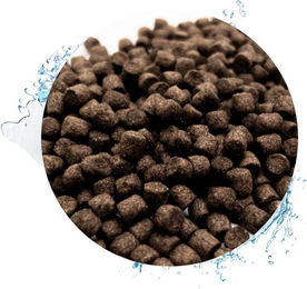 Warnick´s Tierfutterservice Koifutter Wheatgerm Weizenkeime für Koi und Goldfische 6mm – Bild 1 von 4