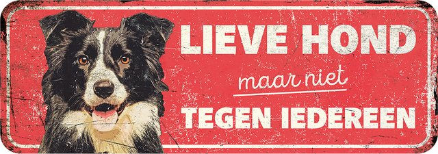 Warnschild Collie D&D Home – Bild 1 von 1