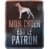 Produktbild von Warnschild Danish Dog D&D Home