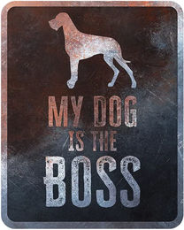 Produktbild von Warnschild Danish Dog D&D Home für große Rassen