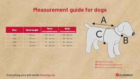 Wasa Gold Hundemantel Winter Flamingo Wasserabweisend Rückenlänge 25 cm – Bild 1 von 5