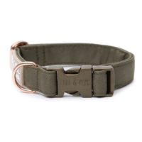 Produktbild von Wasserabweisendes Hundehalsband Lotte 2.0 Grün Größe L 33-52 cm