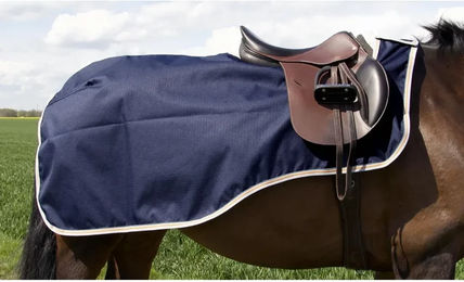 Produktbild von Wasserdichte Nierendecke für Pferde T de T Blau
