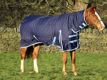 Wasserdichte Pferdedecke mit Hals aus Oxford-Gewebe in Blau 1,52 m – Bild 1 von 2