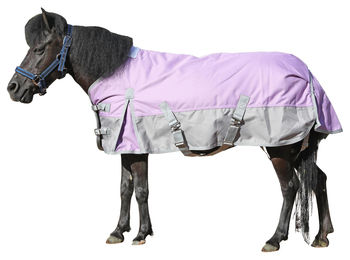 Wasserdichte Pony-Regendecke aus 1200D Material in Rosa 80 cm – Bild 1 von 1