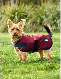 Wasserdichter Hundemantel WeatherBeeta Comfitec Classic Rot – Bild 1 von 1