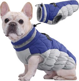 Wasserdichter Hundemantel Winterjacke für kleine mittelgroße und große Hunde in Blau – Bild 1 von 6