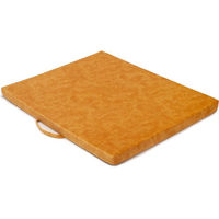 Produktbild von Wau-Floor Traveller Pets Friendly Teppich Mustard XL 140x120cm 10cm