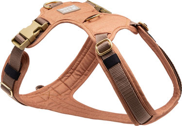 Wau-Move Hundegeschirr Cinnamon XS – Bild 1 von 1