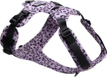 Wau-Move Hundegeschirr Heart XS – Bild 1 von 1