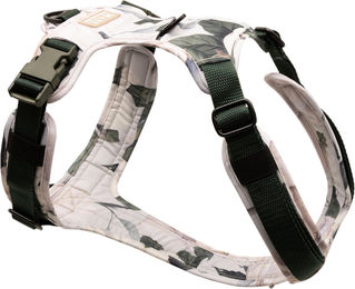 Wau-Move Hundegeschirr Magnolia XS/S – Bild 1 von 1