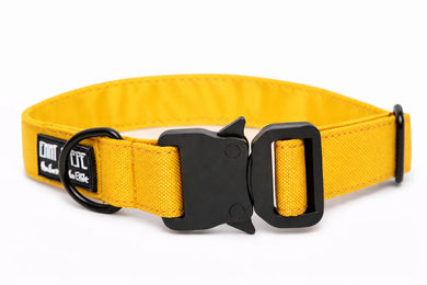 Produktbild von Wau-Move Hundehalsband Lemonade Safety Gelb wasserabweisend 39-64 cm