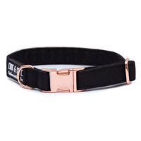 Produktbild von Wau-Move Hundehalsband Tiffany Schwarz S 22-34 cm wasserabweisend