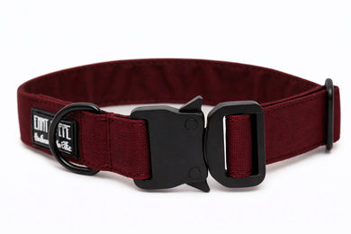 Produktbild von Wau-Move Hundehalsband Velvet Safety aus Velours wasserabweisend 39-64 cm
