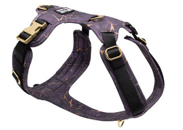 Produktbild von Wau-Move Y-Geschirr Golden Plum für Hunde wasserabweisend L/XL